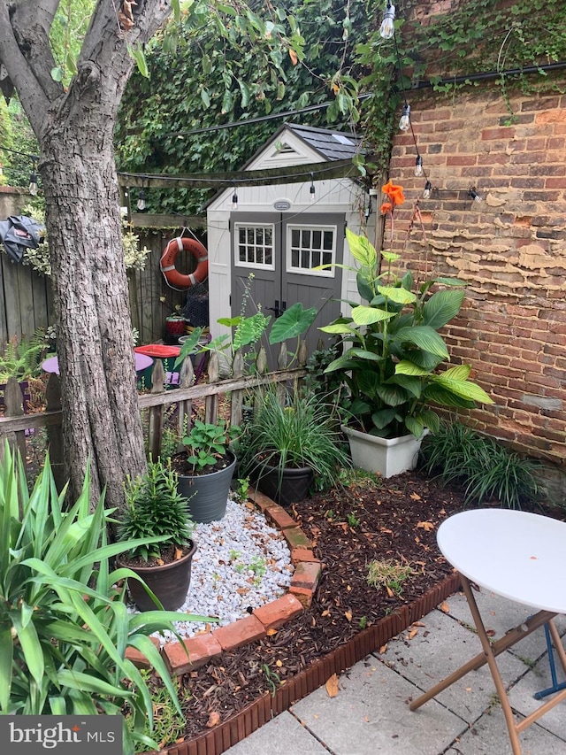 view of yard with a storage shed