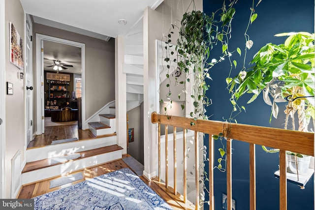 staircase with hardwood / wood-style flooring and ceiling fan