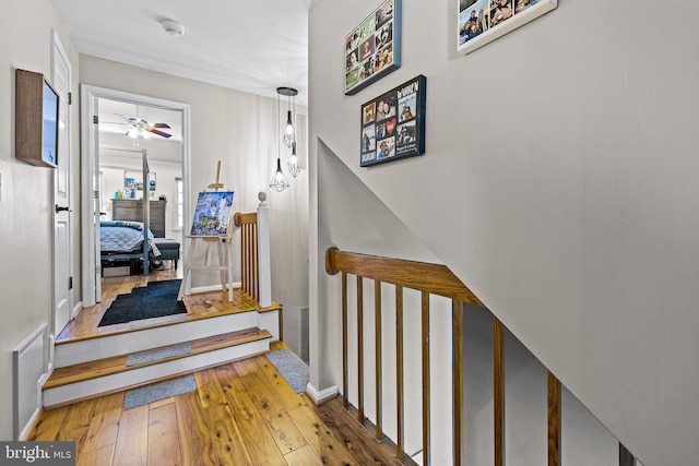 staircase with hardwood / wood-style floors