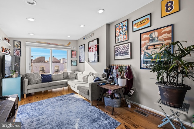 living room featuring wood-type flooring