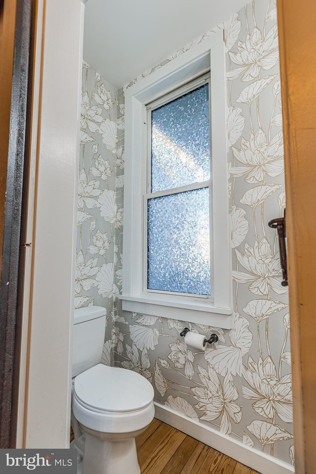 bathroom with wood-type flooring and toilet