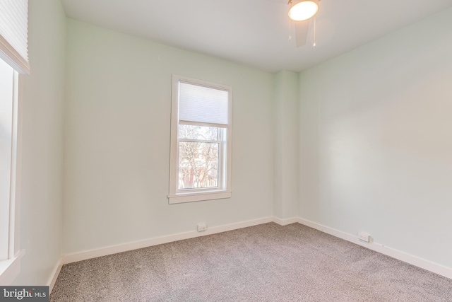 empty room featuring carpet floors