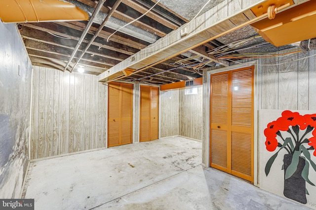 basement with wood walls