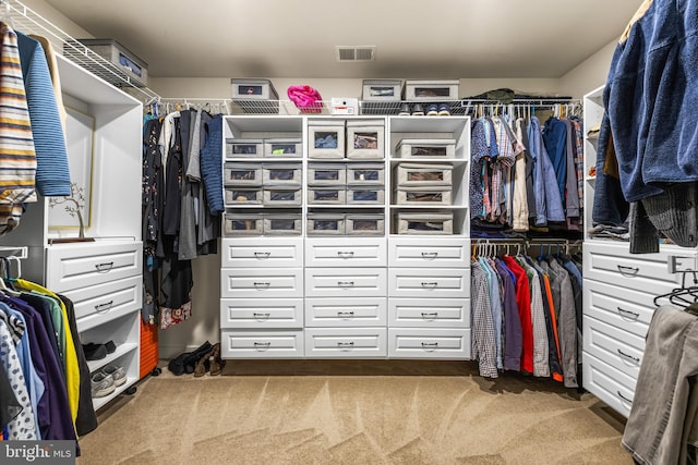 spacious closet with carpet floors