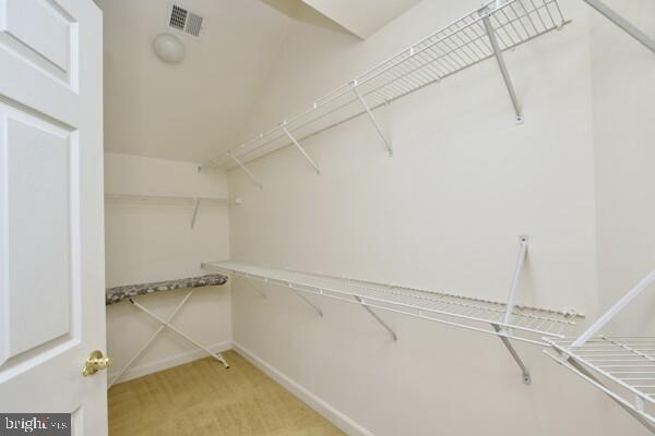 spacious closet with light colored carpet