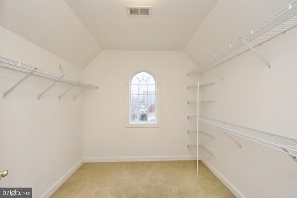 walk in closet featuring lofted ceiling and carpet