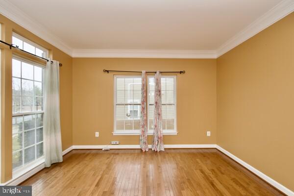 empty room featuring crown molding and hardwood / wood-style floors