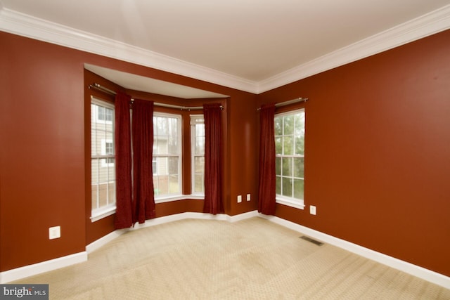 empty room with crown molding and light carpet