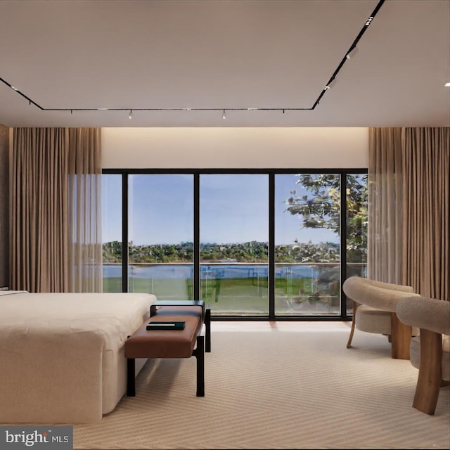 carpeted bedroom with multiple windows, access to exterior, and a water view