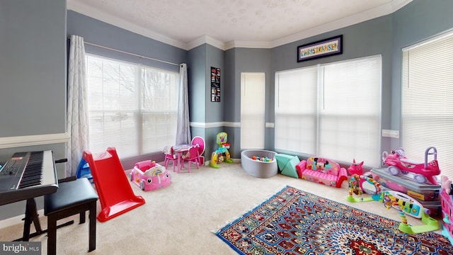 playroom with ornamental molding, carpet, and a textured ceiling