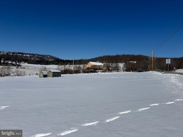 view of yard layered in snow