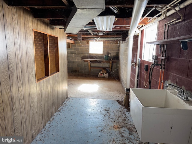 basement with sink and wood walls