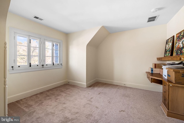 additional living space featuring light colored carpet