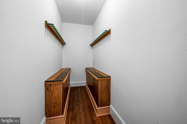 walk in closet featuring wood-type flooring