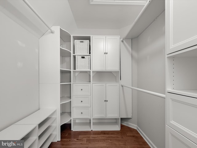 walk in closet with dark hardwood / wood-style flooring