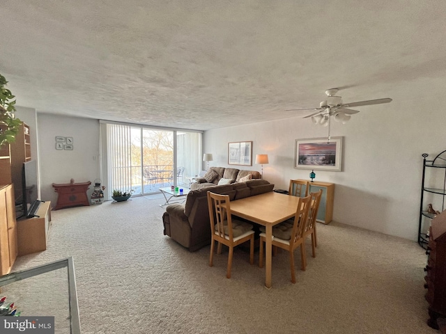 carpeted dining area featuring expansive windows, ceiling fan, and a textured ceiling