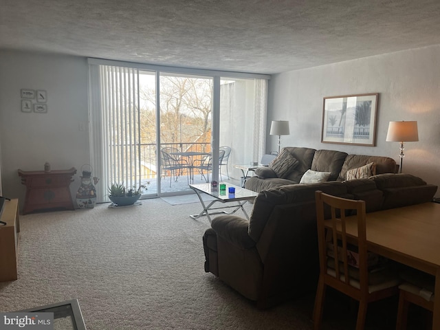 living room featuring a wall of windows, carpet, and a textured ceiling