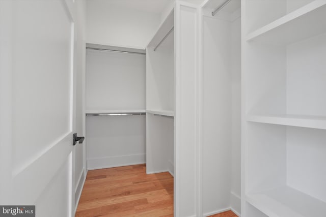 spacious closet with hardwood / wood-style floors