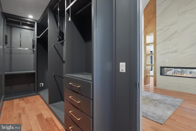 spacious closet featuring wood-type flooring