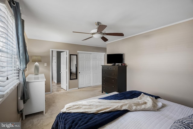 carpeted bedroom with ceiling fan, ornamental molding, and a closet