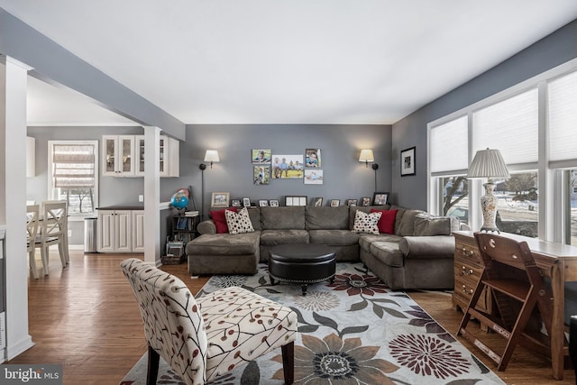 living room featuring dark hardwood / wood-style flooring