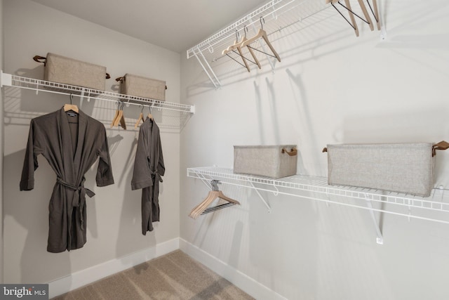 spacious closet with carpet floors