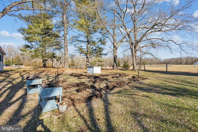 view of yard with a storage unit