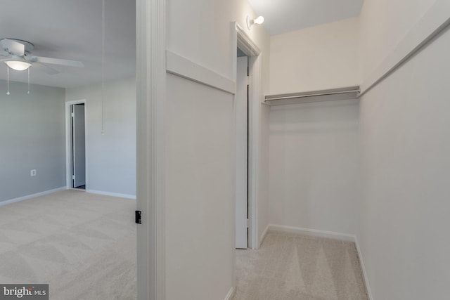 walk in closet featuring light carpet and ceiling fan