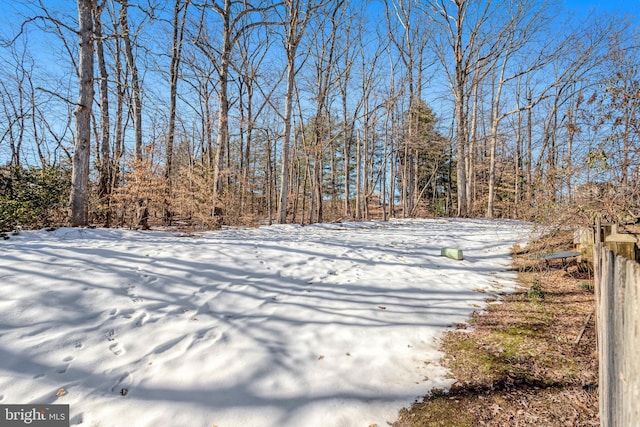 view of yard layered in snow