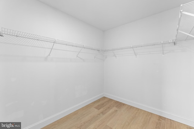 walk in closet with hardwood / wood-style floors