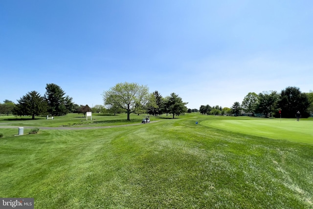 view of property's community featuring a lawn