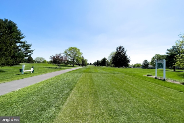 view of community featuring a lawn