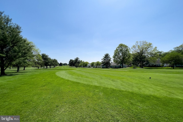 view of property's community with a yard