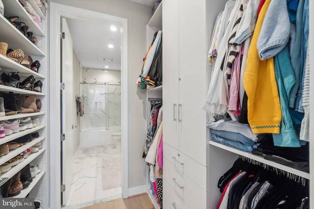 view of spacious closet