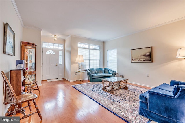 living room featuring crown molding and light hardwood / wood-style floors