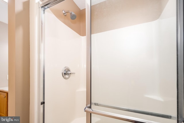 bathroom featuring a shower with shower door