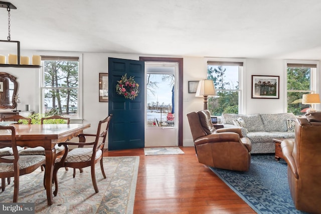 living room featuring plenty of natural light and hardwood / wood-style floors