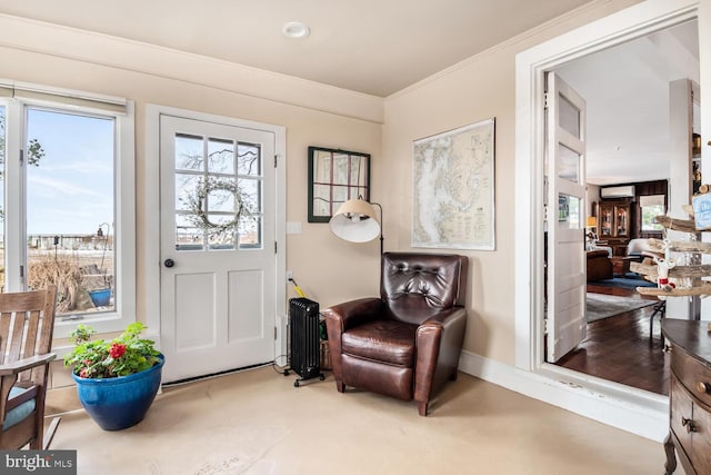 interior space with radiator and ornamental molding