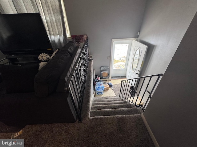 stairs with carpet floors