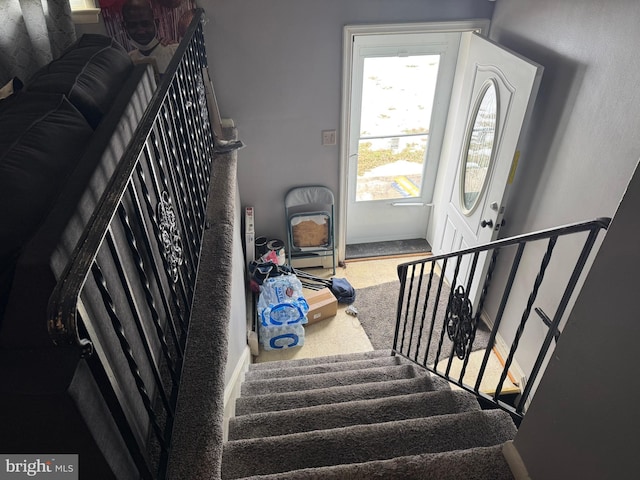 stairs with carpet flooring