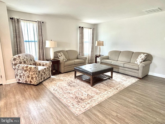 living room with hardwood / wood-style floors and a wealth of natural light