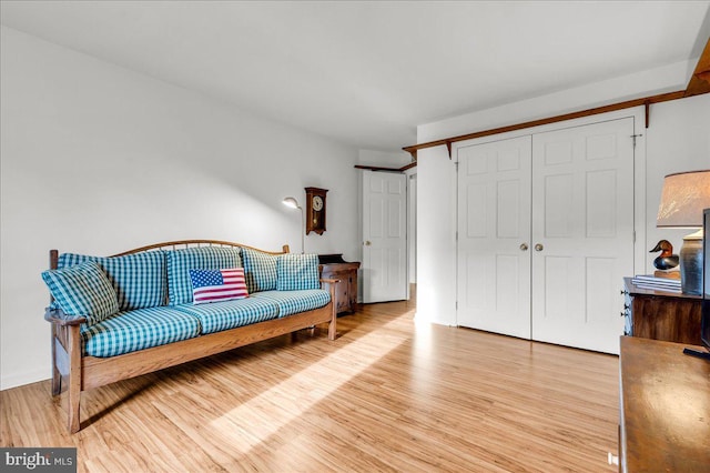 living room with light hardwood / wood-style floors