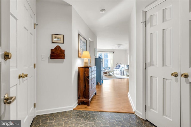 hallway with dark hardwood / wood-style floors