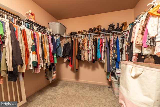 spacious closet featuring carpet flooring