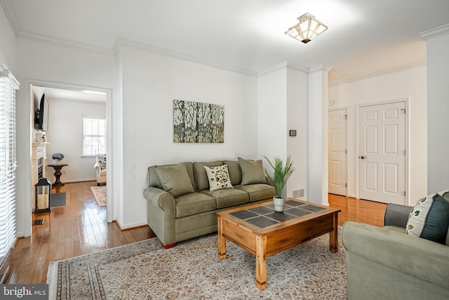 living room featuring wood-type flooring and crown molding