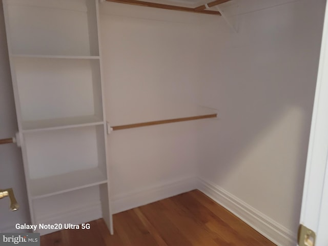 spacious closet featuring wood-type flooring