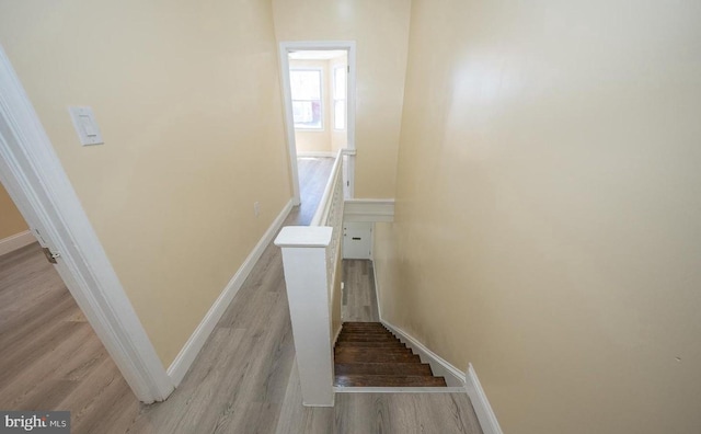 staircase with hardwood / wood-style floors