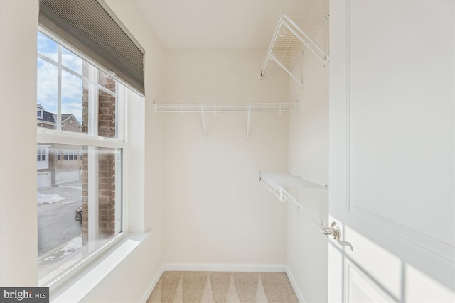 spacious closet featuring light colored carpet