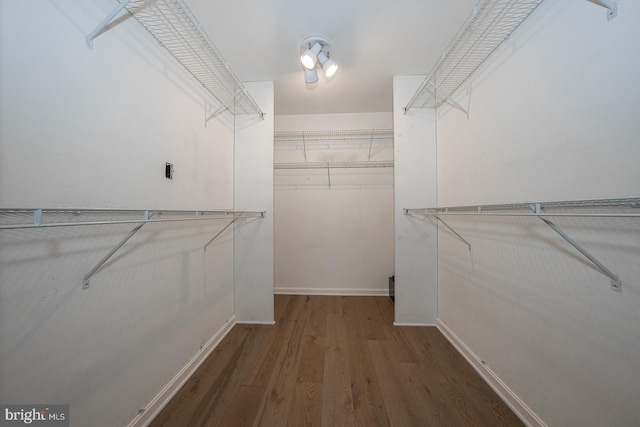 spacious closet featuring hardwood / wood-style floors