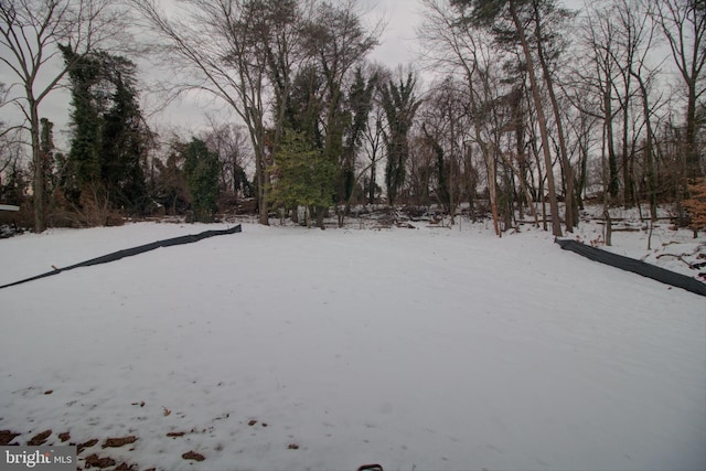 view of yard covered in snow